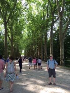 Chenonceau, the stately front drive of stunning Sycamore Maples 